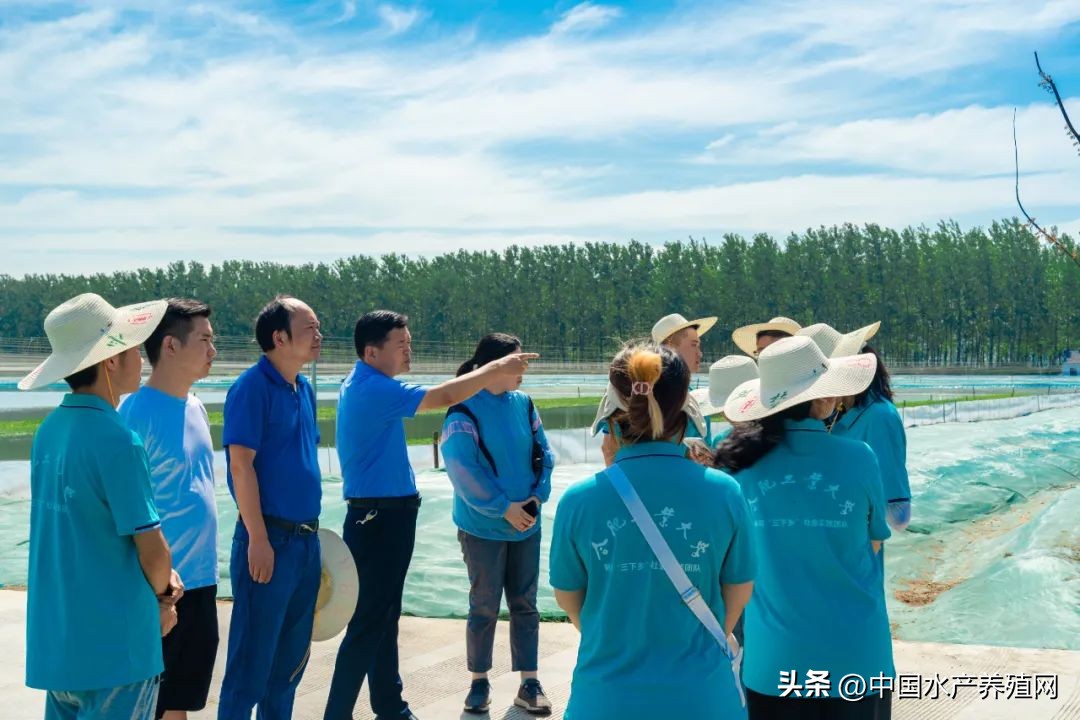 江苏螃蟹基地,探访阳澄湖螃蟹养殖区