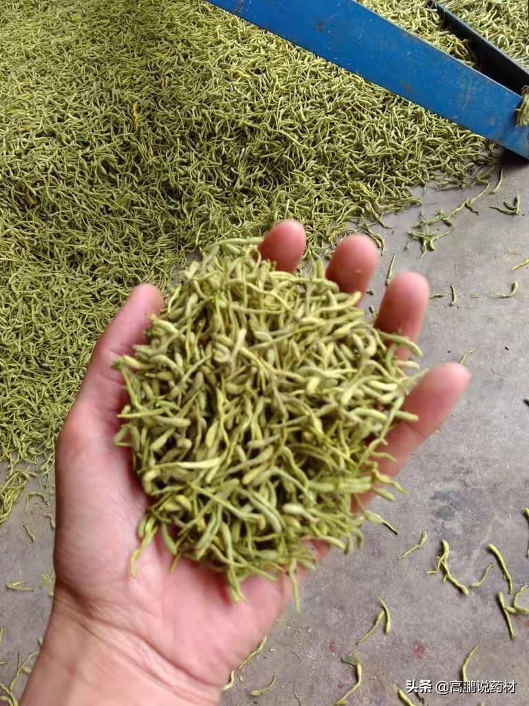 高鹏说药材:2022年*疆新**中药材种植形势分析