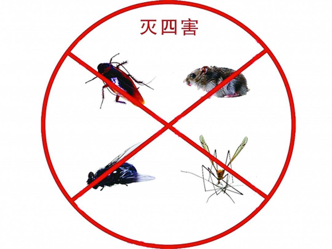 四害是指哪几种动物,四害动物是哪四害