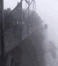 老鼠贴粘老鼠会死吗,老鼠贴粘到猫会自动掉吗