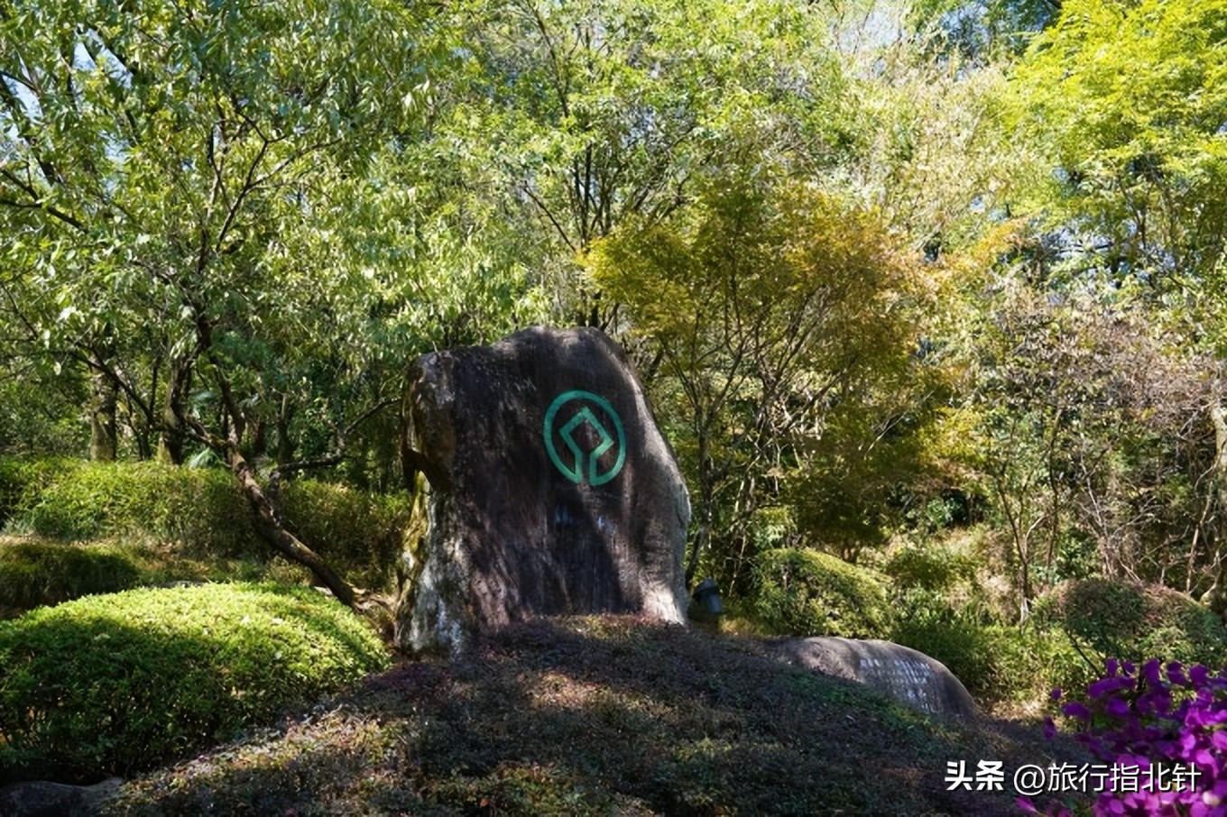 福建旅游攻略武夷山,福建武夷山旅游攻略一日游