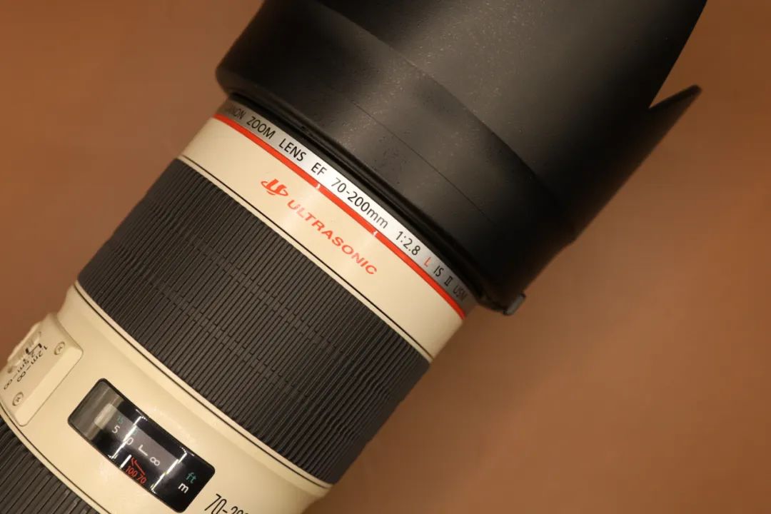 佳能哪些相机不值得购买,佳能的rf镜头真的不值吗