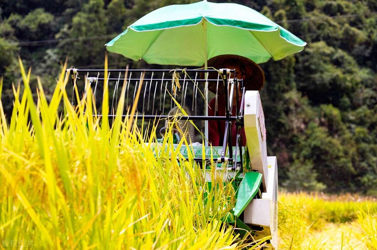 久保田水稻联合收割机最新产品,最好的大型水稻联合收割机