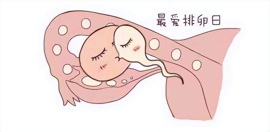 备孕期经常倒立可以吗,备孕倒立还是平躺容易受孕