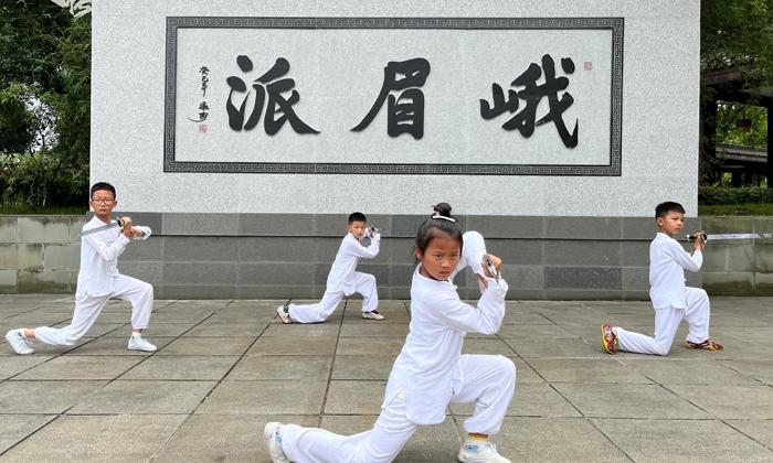 夏令营机构有哪些比较正规,成都夏令营正规机构