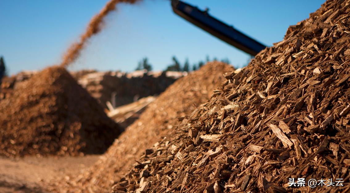 俄罗斯木屑颗粒进口,进口俄罗斯木屑颗粒