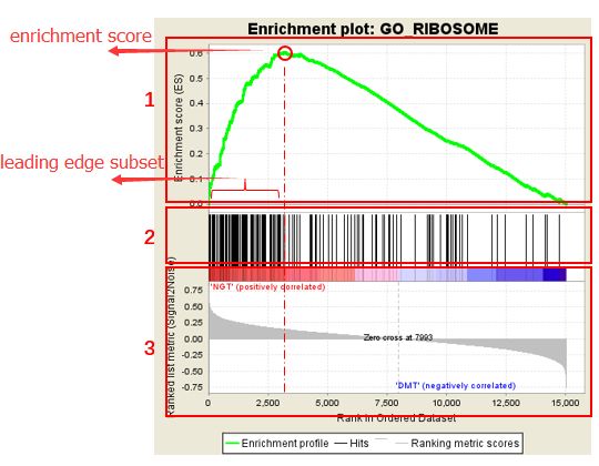 一文带你详解redis,gsea软件如何使用