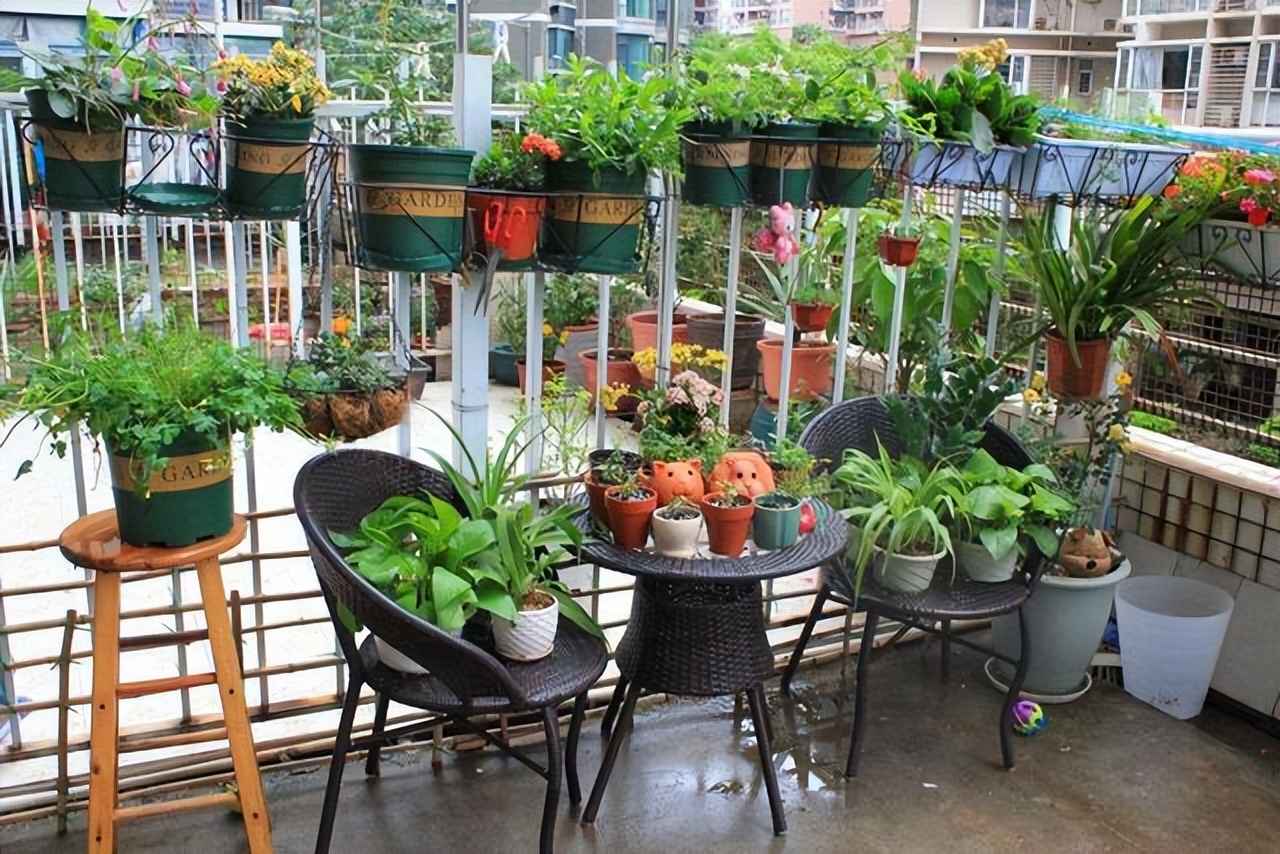 爱干净的人，家里别养4种“脏脏花”，会招虫子，越养越烦