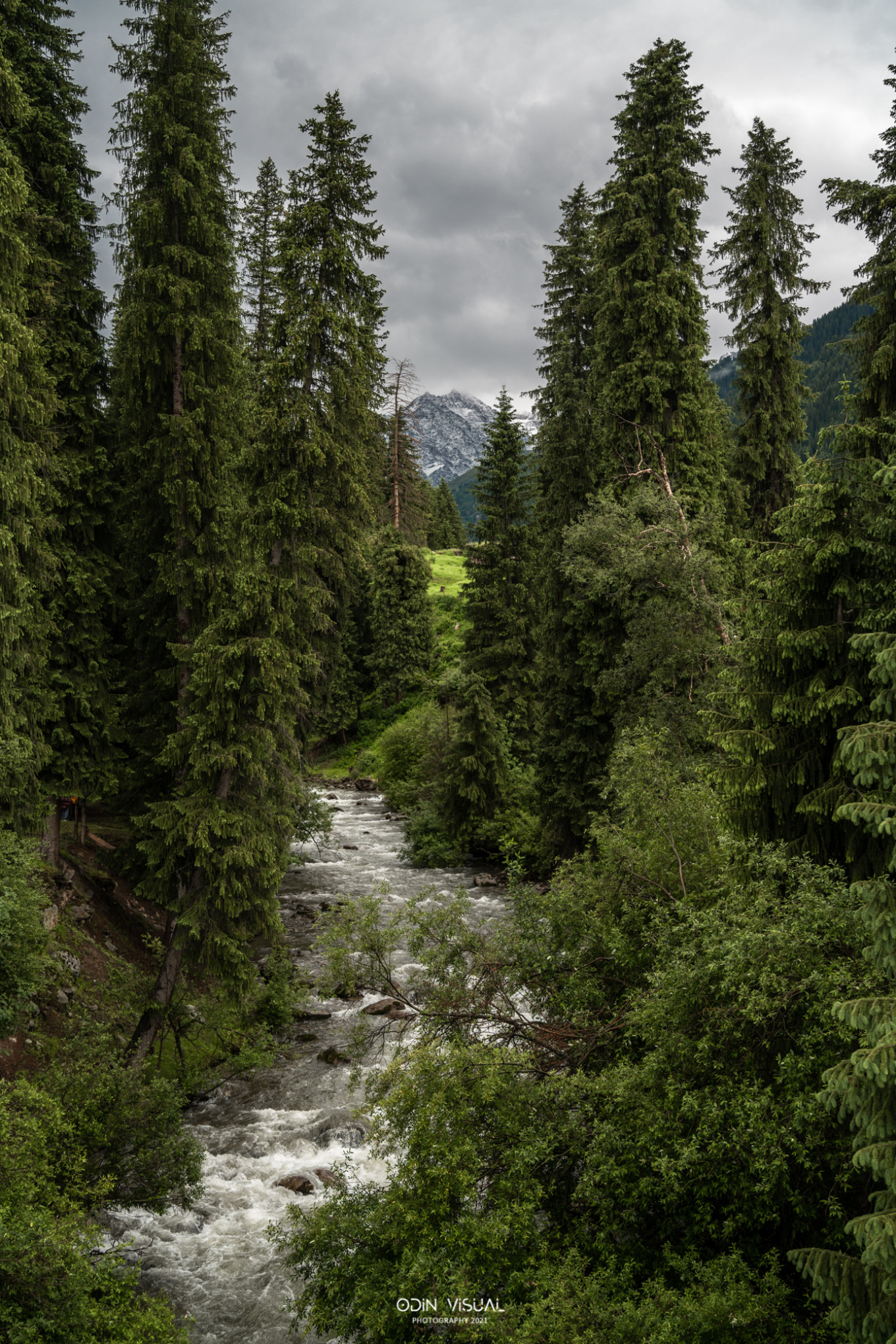 去新疆发现伊犁的美,世界之美尽在伊犁