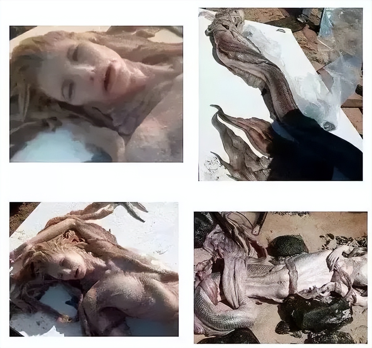 打假视频大全真的假的,打假各个品牌假货怎么处罚