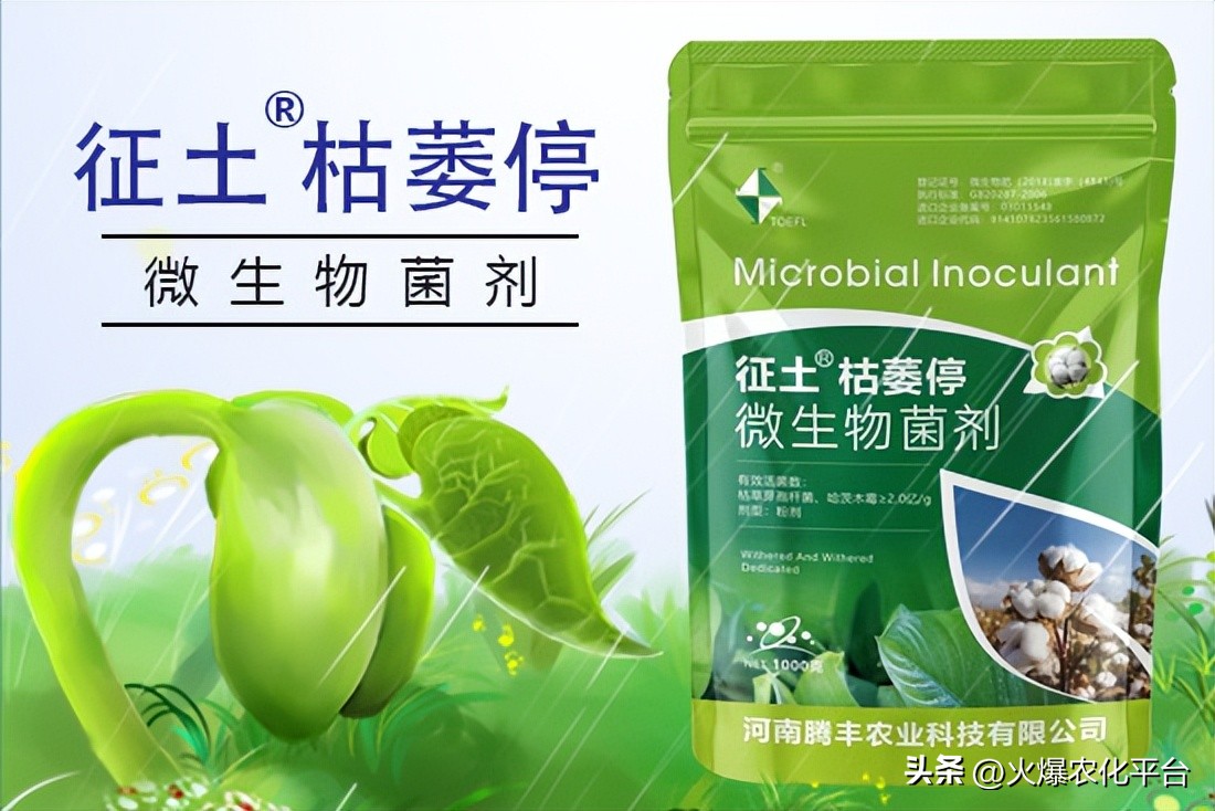 死树根烂根的克星,死苗烂根克星