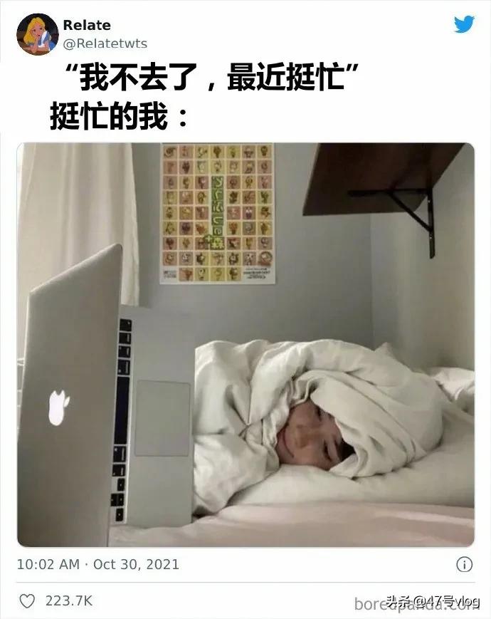 松鼠储备粮被偷冻的发抖,松鼠藏的储备粮被偷后续