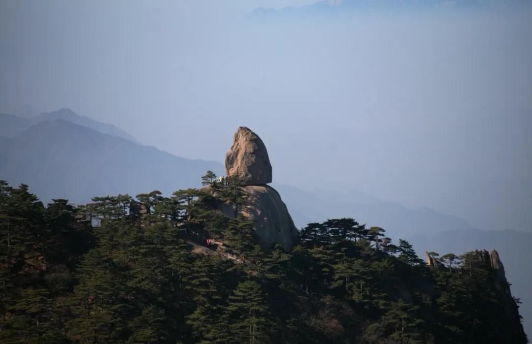 红楼梦人物关系超详细解读,红楼梦中人物的年龄及生日