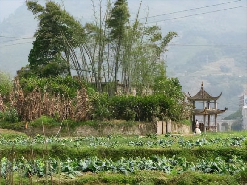 游玩武隆天生三桥和芙蓉洞住哪里,武隆仙女山天生三桥游