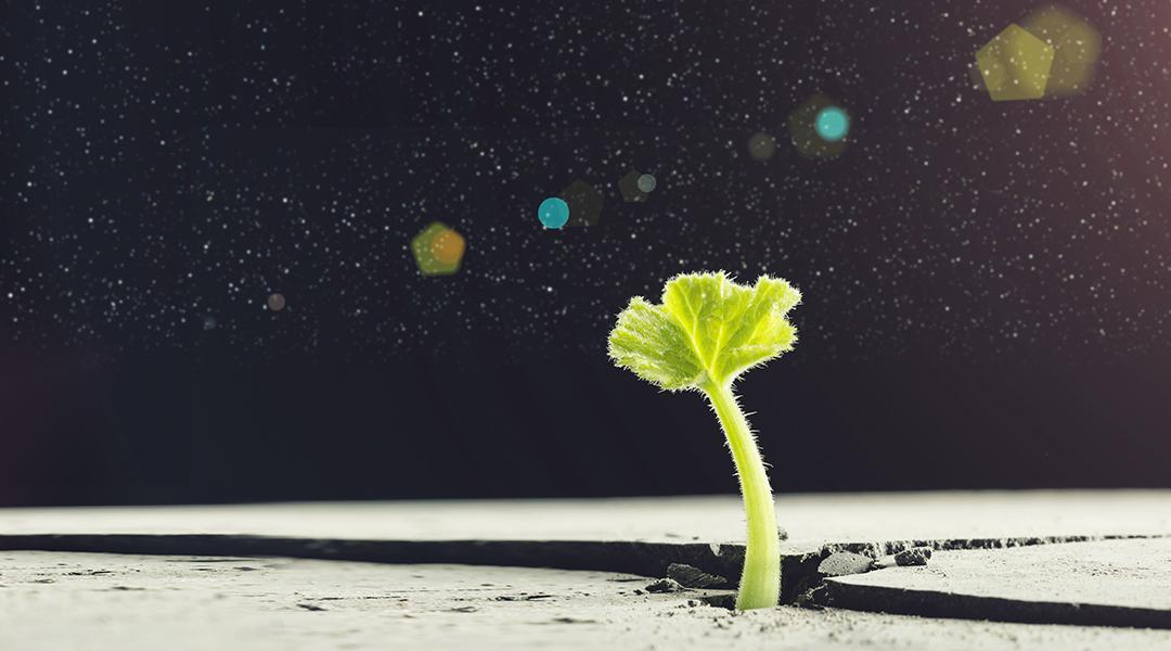 从“老张的店”到“义顺酒便利”,300家连锁店到底怎么开?