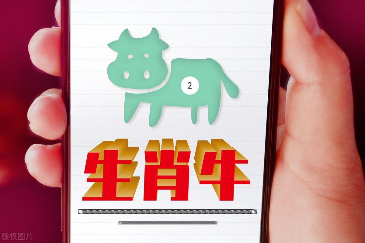 生肖牛2024每个月运势,生肖牛2023年下半年运势