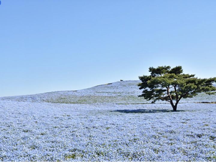 关东一日游最佳路线,关东二日游