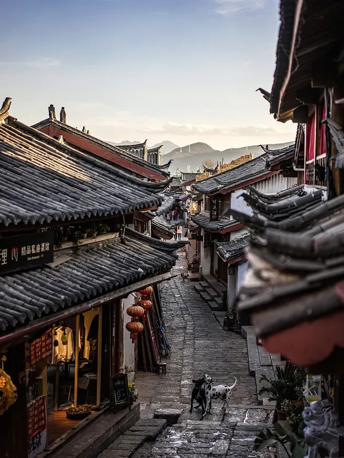 2022年旅游为什么那么便宜 (2022国内旅游)