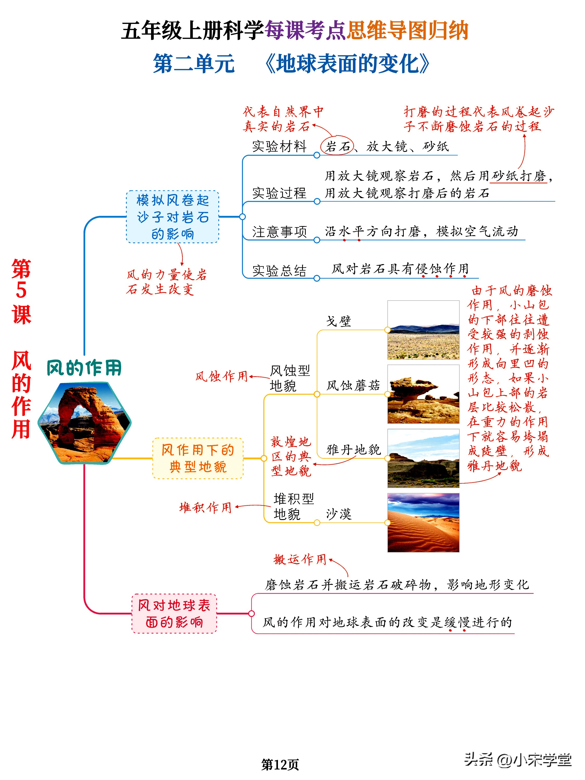五年级上册全部科学思维导图简单,五年级上册科学思维导图大全集