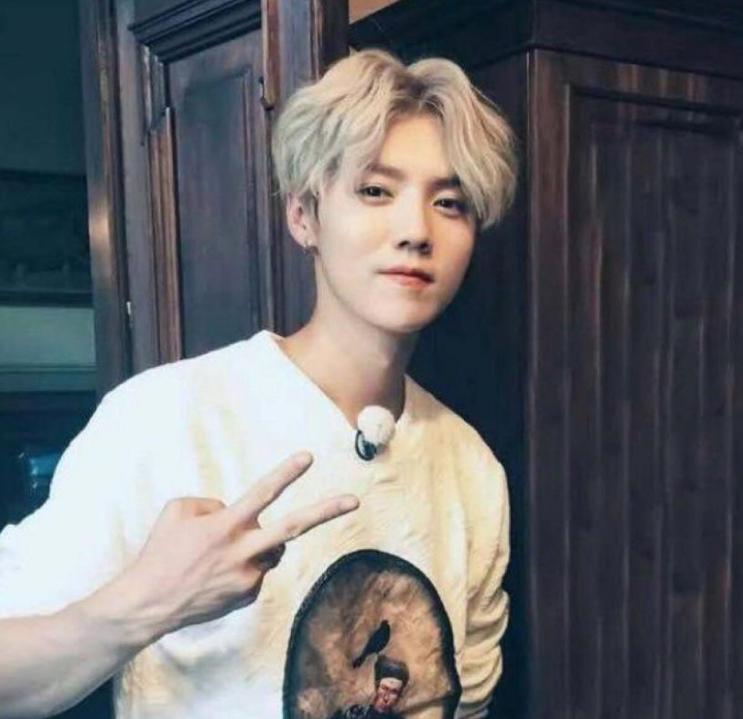 真男人就是敢作敢当,鹿晗发文霸气护女友