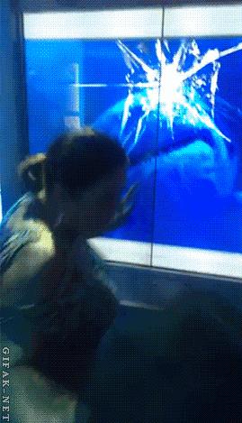 80张神奇偶然瞬间，环形闪电，海蛇和最毒石斑鱼互咬，骑骆驼拍照