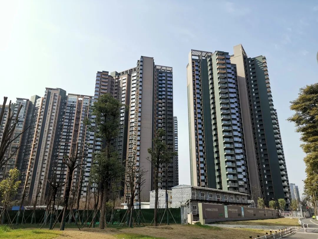 新鸿基悦城新楼盘,新鸿基悦城8月最新开盘评论