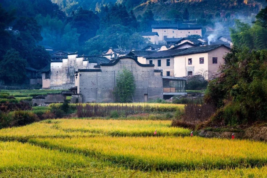 海美、小吃巨好吃！这个神还原游戏世界的小城，不该这样被埋没！