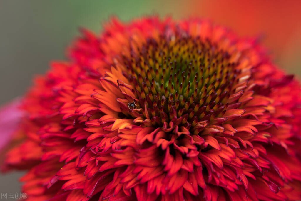 数学名词中的人生哲理,数学定理的人生哲理