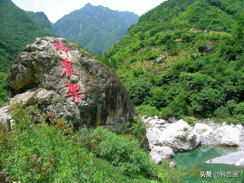 神农架深处被列为禁区的现象,神农架深处为何被列为禁区进不去