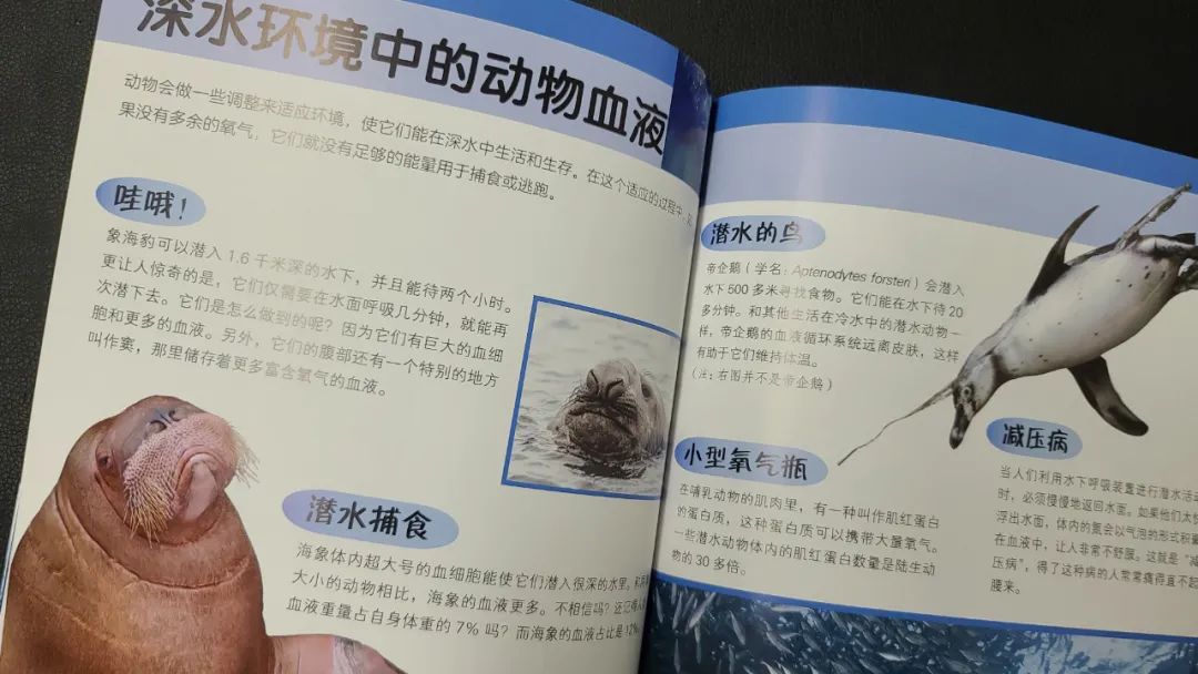 有趣的动物知识科普书,适合小朋友的动物科普书