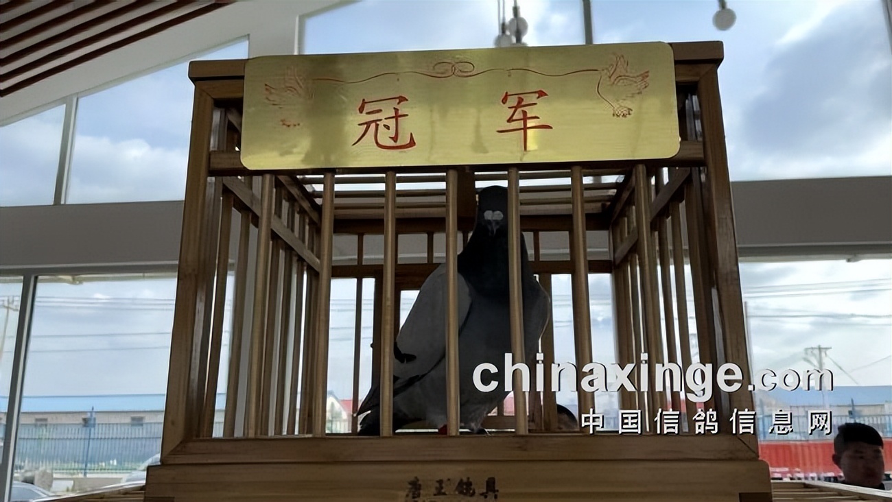 开尔春棚决赛亚军轨迹,开尔春棚决赛名单