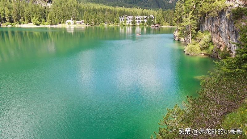 小龙虾养殖如何减少药品的使用（一）