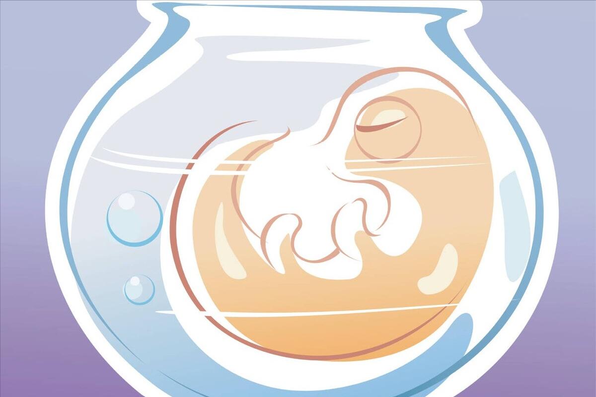 卵子有趣的知识,卵细胞的秘密