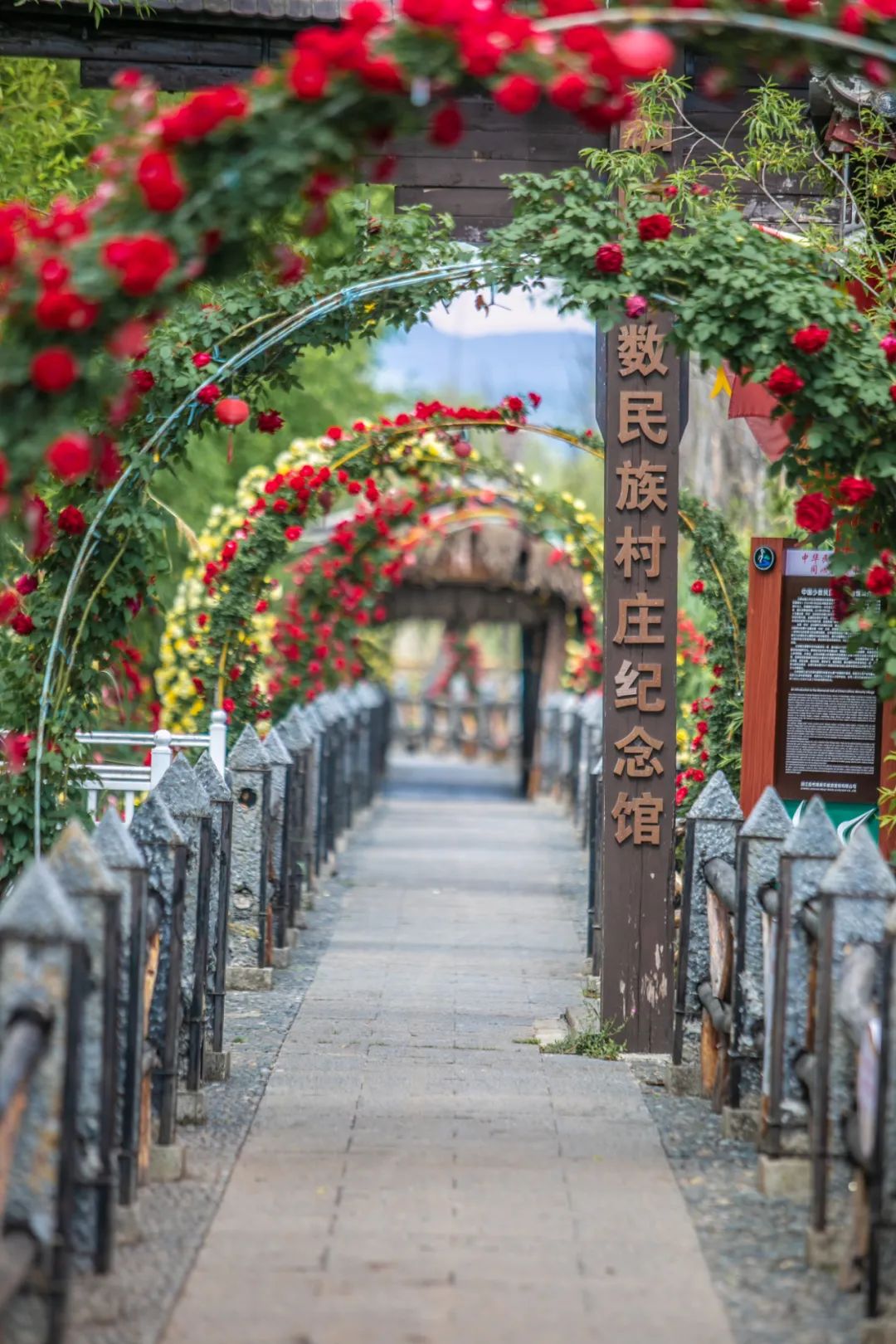 云南六一儿童节旅游攻略,云南适合小朋友旅游的地方