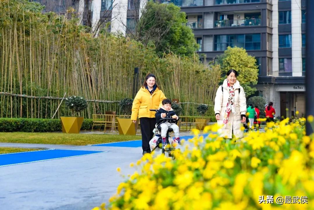 有一种幸福叫公园绿地就在家门口,有一种幸福叫阳光的温暖