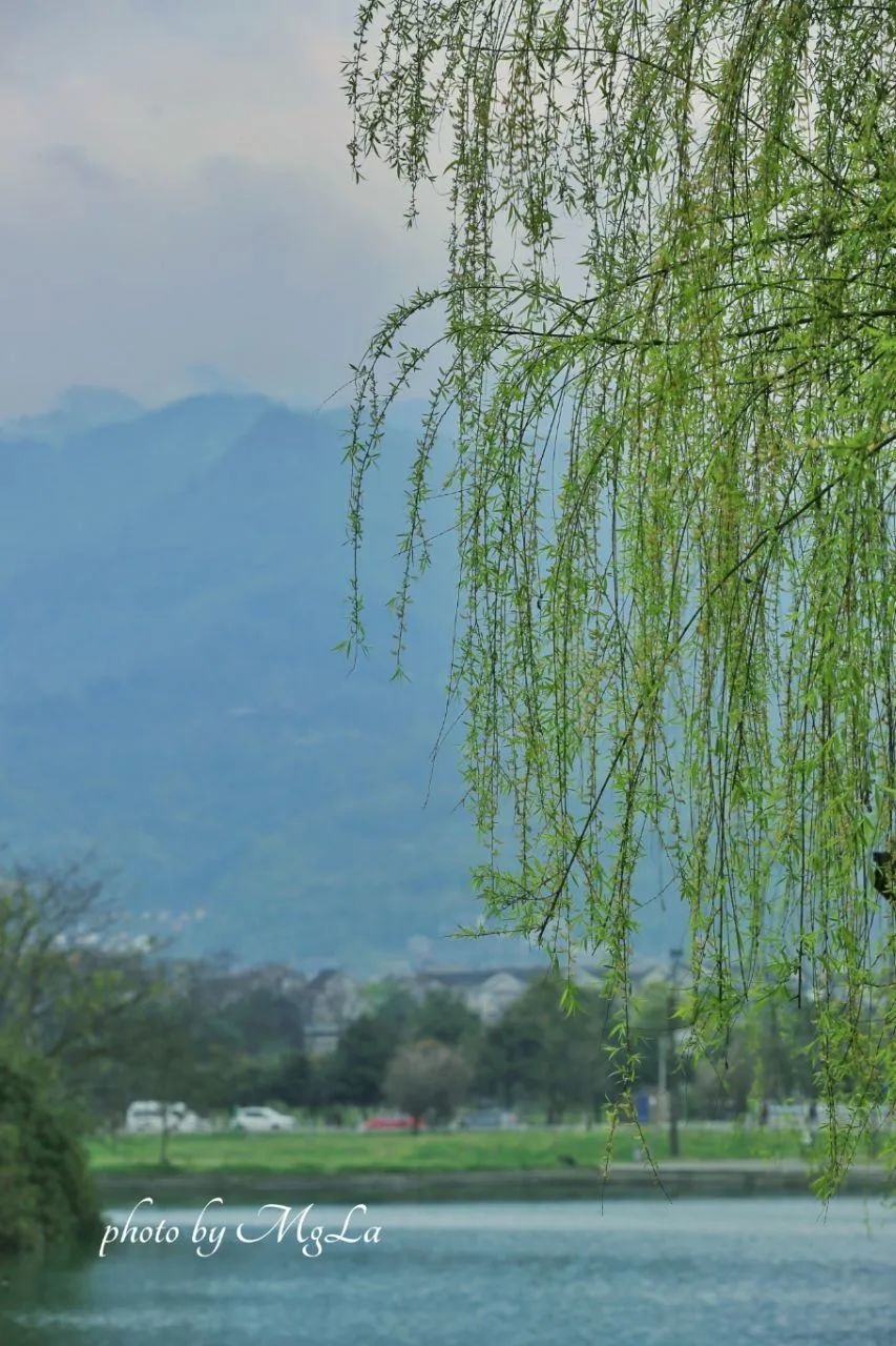 强烈推荐都江堰旅游两日游,成都都江堰一日游景点推荐