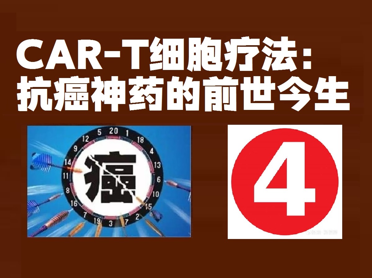car-t疗法抗癌成功,肿瘤专家谈car-t细胞免疫疗法