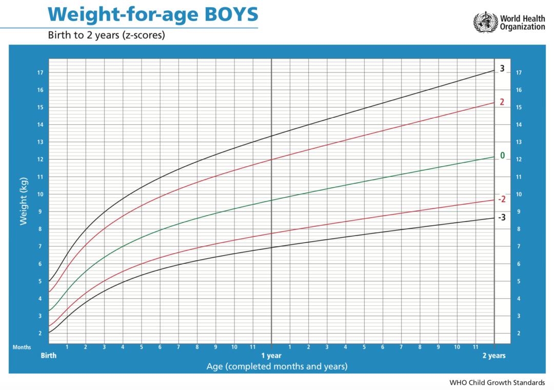 孩子营养吸收不好偏瘦怎么办,肠胃不吸收营养越来越瘦怎么调理