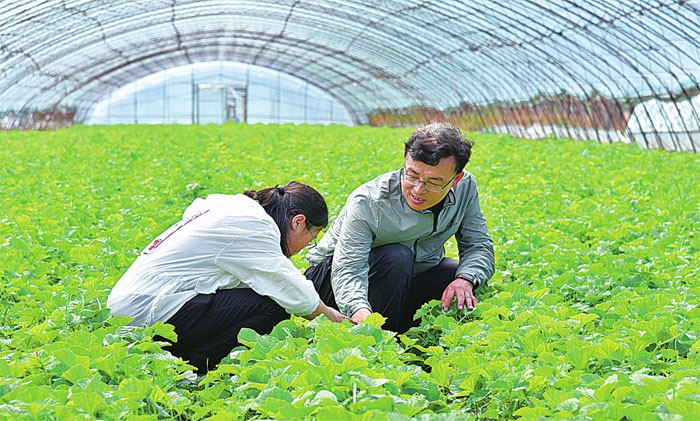 工作前景排名最吃香的十大行业,未来五年即将消失的几大岗位行业