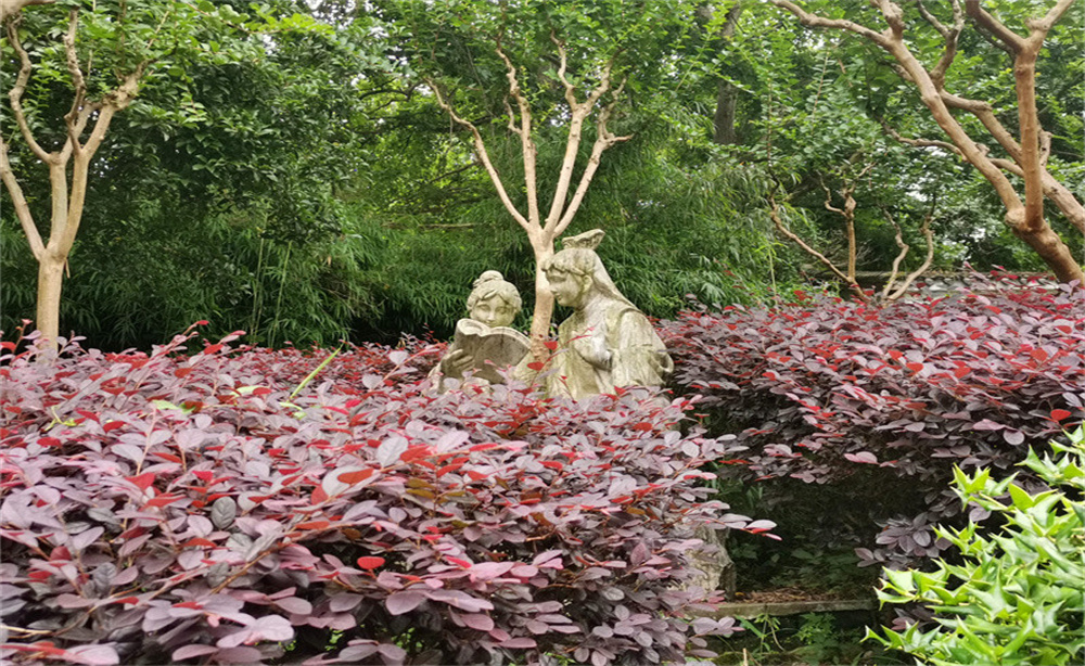 南京小西湖历史风貌,小西湖景区南京市江宁区