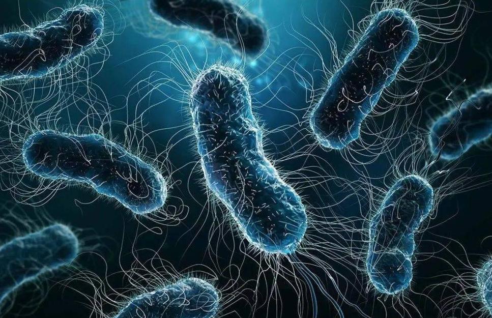 呼吸道感染阿奇霉素和头孢哪个好,呼吸道感染用阿莫西林管用吗