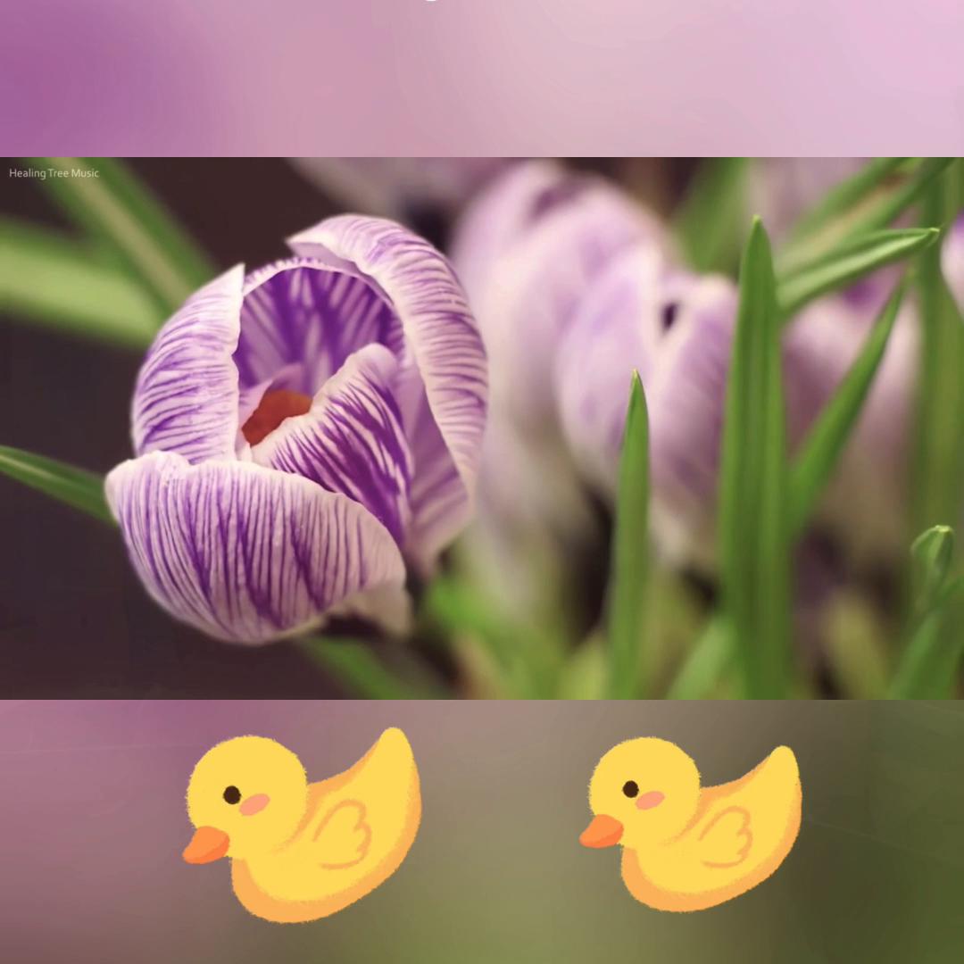 离婚三个月我怀孕了小说结局,离婚三个月我怀孕了知乎