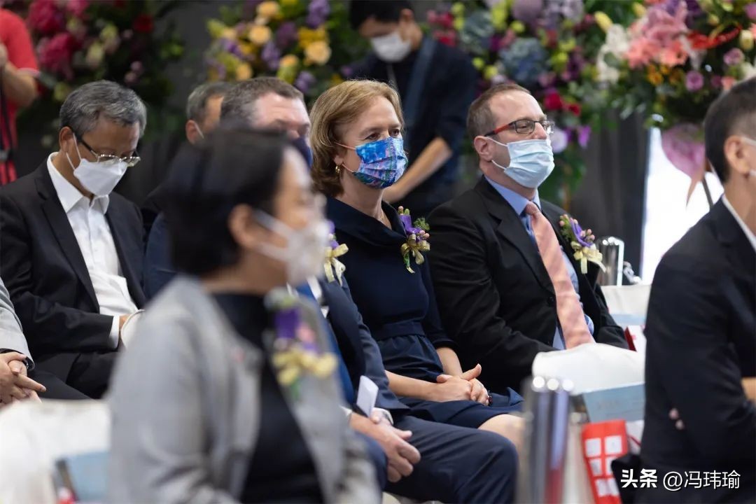 单色釉文房瓷器,清代单色釉文房瓷器