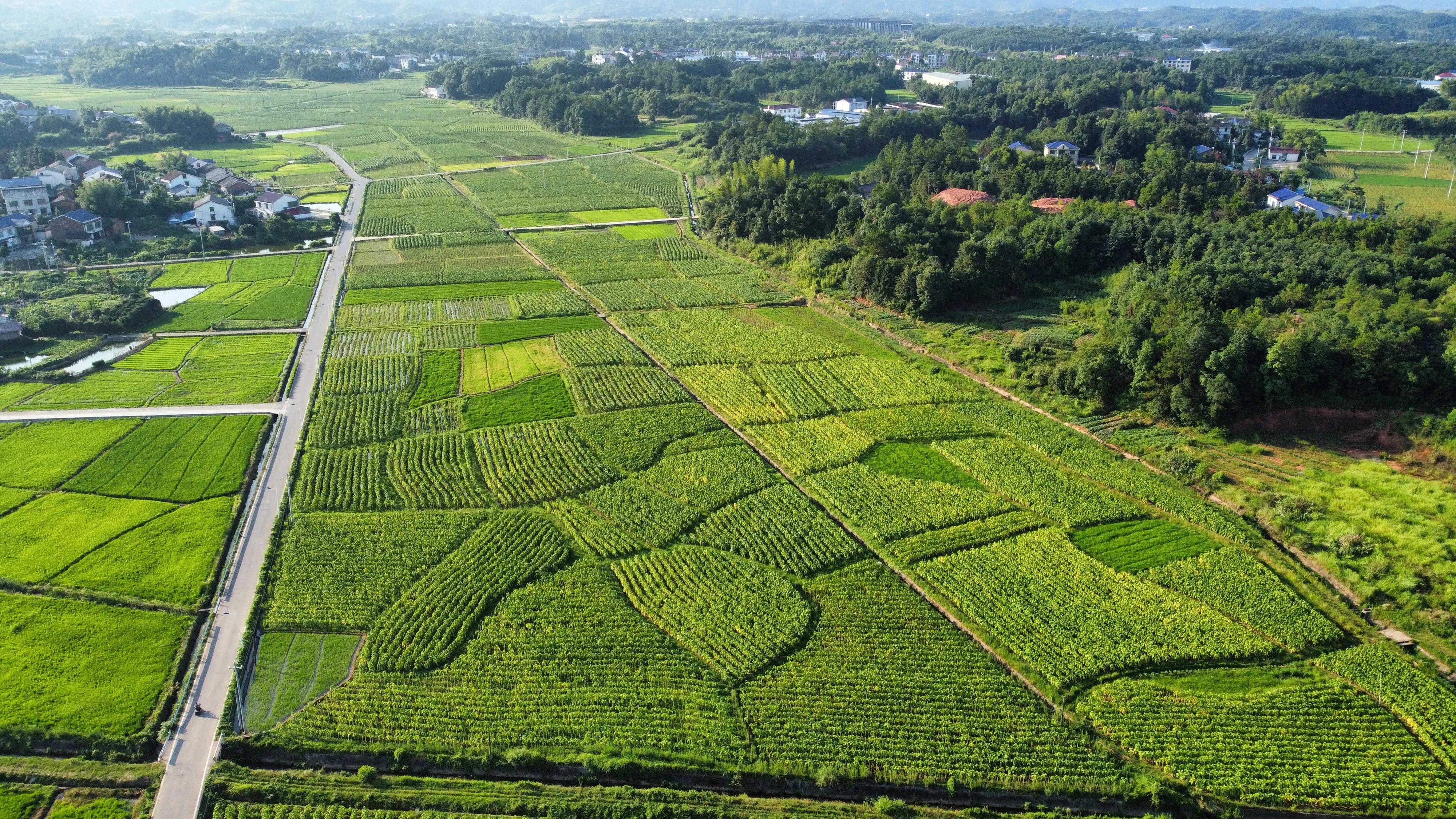 活水注入乡村振兴,乡村振兴的经验分享与最佳实践