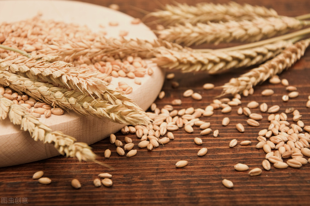 没有数据啥都白费,没有数据会怎么样