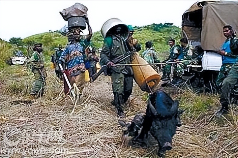 刚果战争是什么,第二次刚果战争