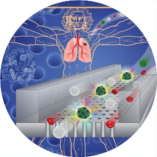 #万物皆科技##科学家利用苍蝇作为传感器