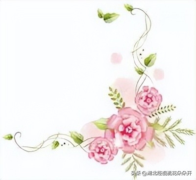 花伴交友会｜周日年轻线下活动，新人、新场地，缘分别错过