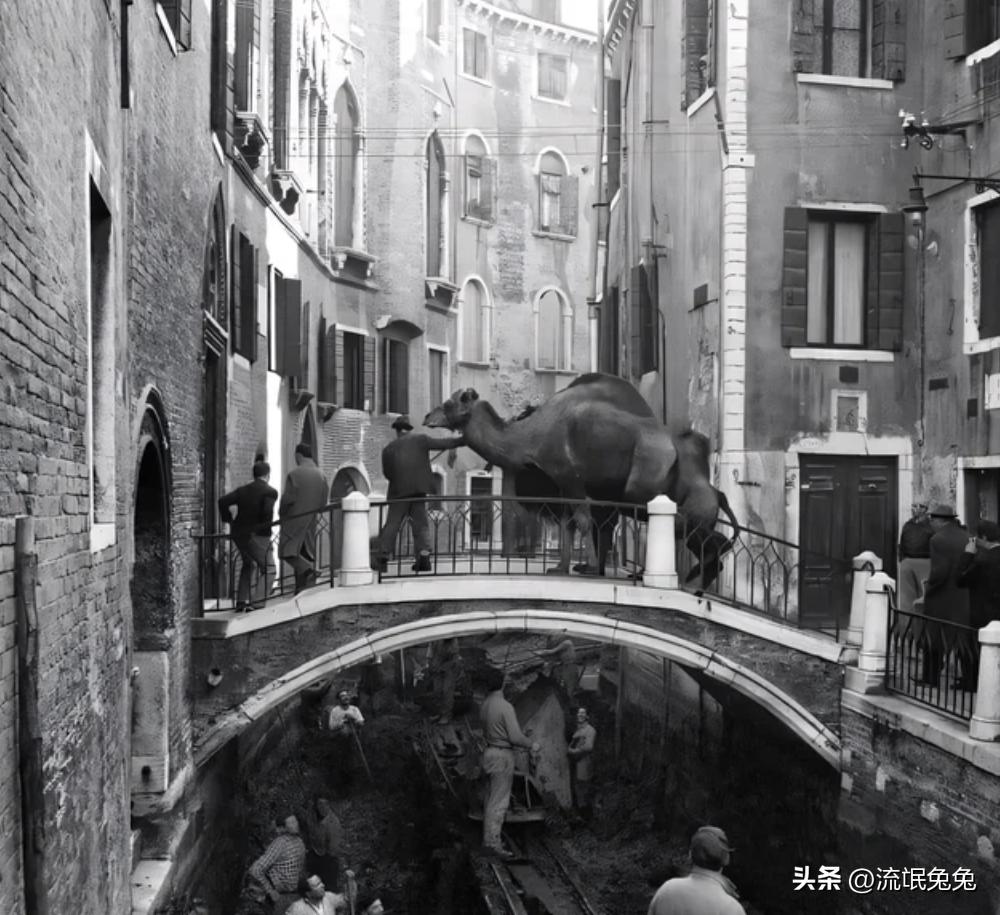 鏃ユ湰渚靛崕鍏借鐓х墖,鏃ュ啗渚靛崕鍏借