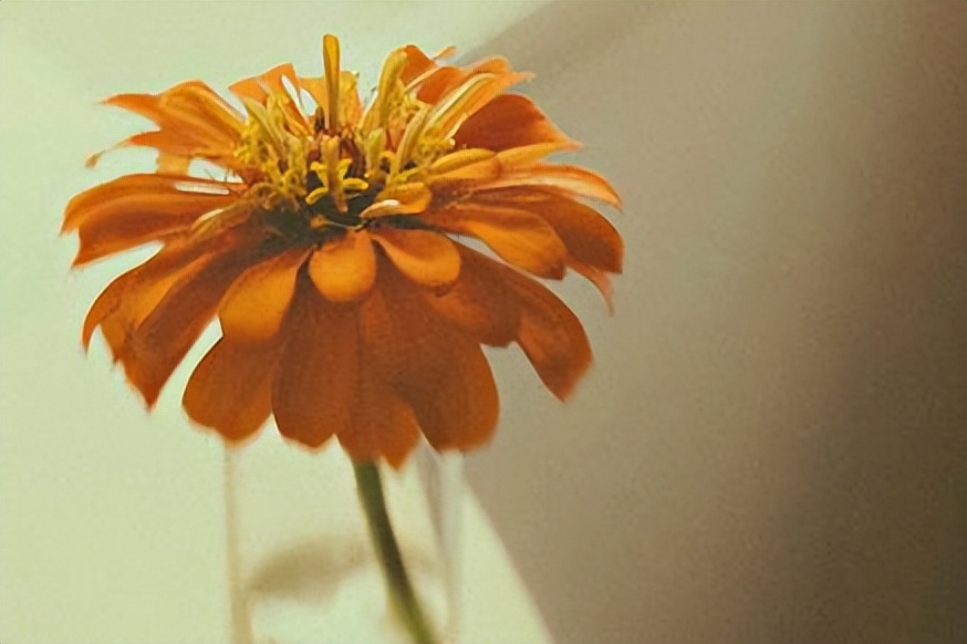 当你很老了,手里没什么钱,儿女也不管你,说明了三个问题